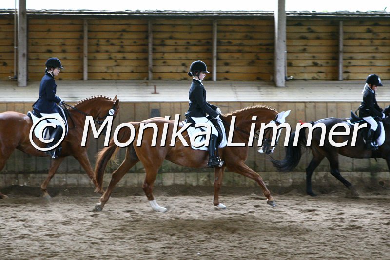 006M4519_Dressur E.JPG